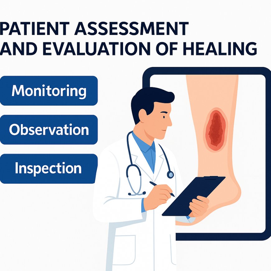 PATIENT ASSESSMENT AND EVALUATION OF HEALING MONITORING – OBSERVATION – INSPECTION