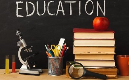 The Primary School System in Uganda