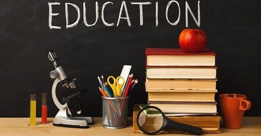 The Primary School System in Uganda