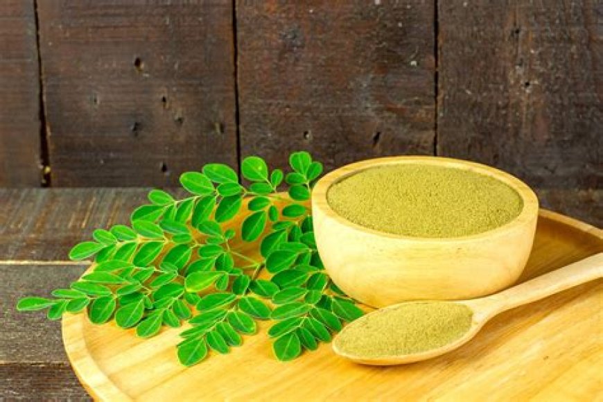 Fungsi Daun Kelor: Rahasia Tersembunyi dari Tanaman Ajaib