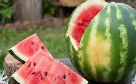 Emang Benar, 10 Buah ini Bisa Mengurangi Lemak Perut