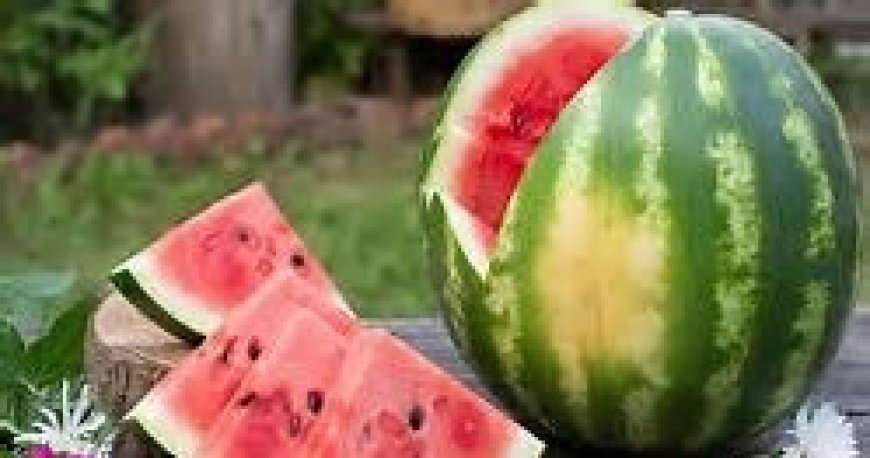 Emang Benar, 10 Buah ini Bisa Mengurangi Lemak Perut